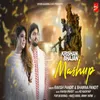 About Krishna Bhajan Mashup Song